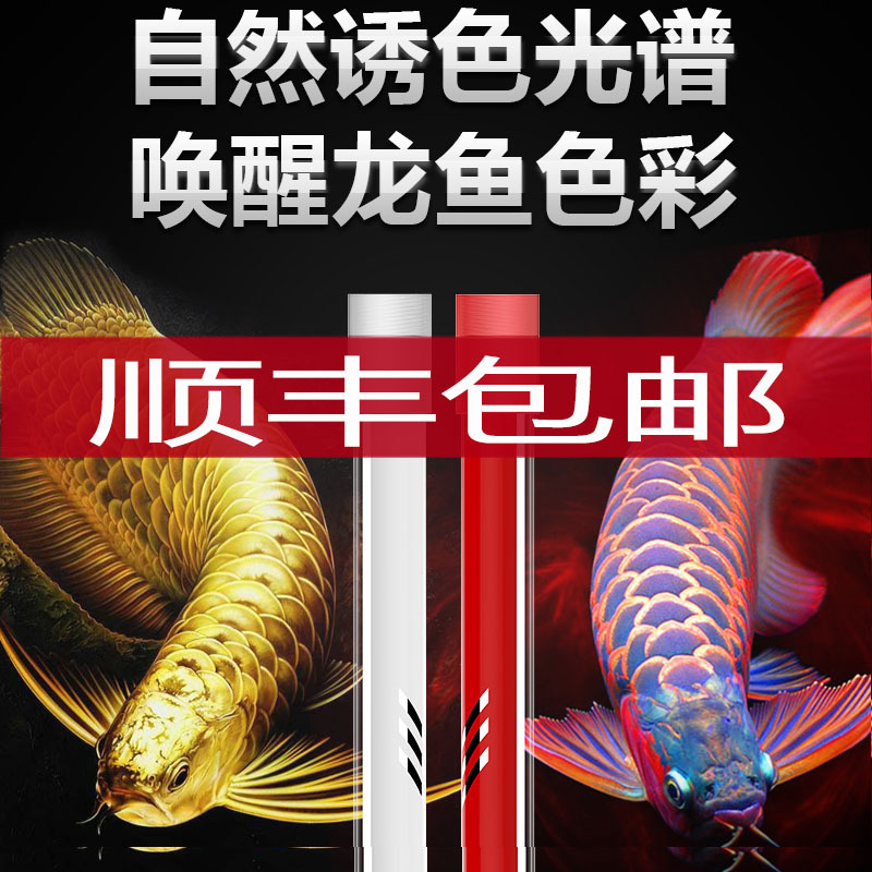 马印13000K红龙金龙发色灯专用防水鱼缸灯侧灯诱色潜水增色灯