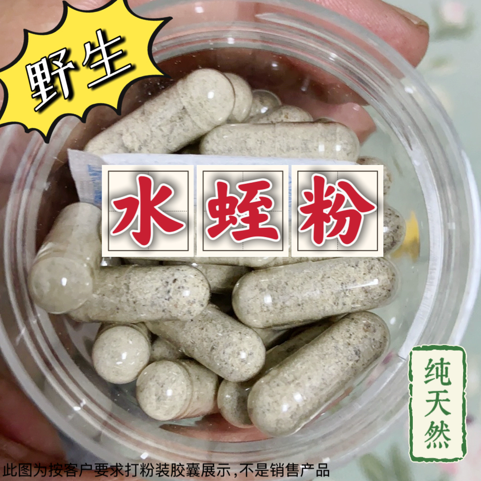 野生水蛭粉 天然水蛭素  水蛭胶囊中药材蚂蟥粉 现磨现发