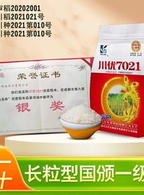 原装水稻种子川优7021标准1级米质水稻种子口感软而不糯有嚼劲