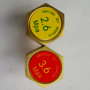 低温绝热气瓶 配件 液氧液氮瓶杜瓦罐 内胆爆破片 安全阀爆破装置