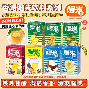 香港版阳光柠檬茶菊花黑加仑橙子苹果汁味特饮料夏日茶饮品整组
