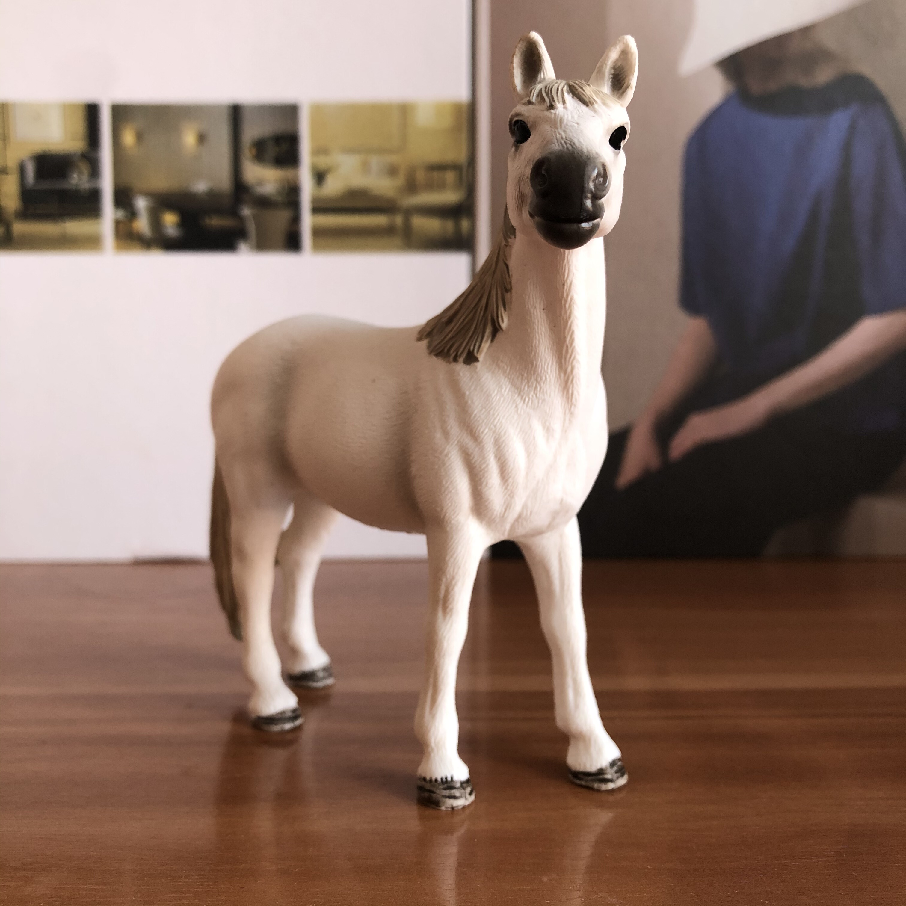 正版德国思乐阿拉伯母马仿真动物模型儿童玩具早教认知收藏