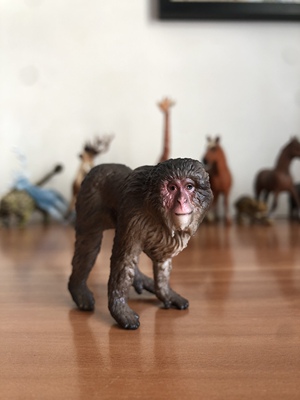 新品正版德国思乐猕猴仿真野生动物模型摆件儿童玩具早教认知绘本