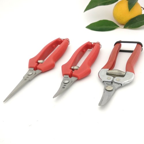 锋利耐用。摘西红柿用长翘头采果剪