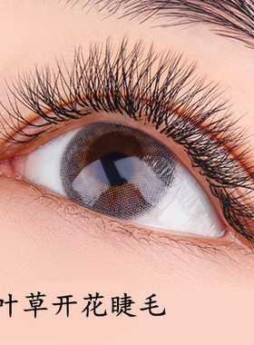 四叶草3叶草美睫磁性一秒开花yy自然超柔软仿真浓密4d嫁接假睫毛