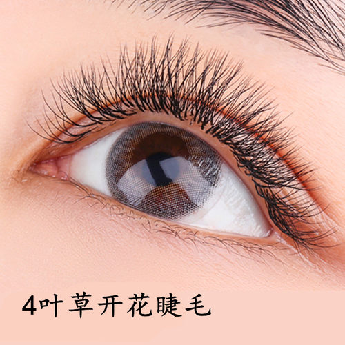 磁性开花超柔软仿真浓密假睫毛