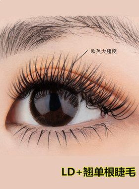美睫LD+广角芭比翘单根嫁接眼睫毛超软0.2mm浓密自然超翘长款扁毛