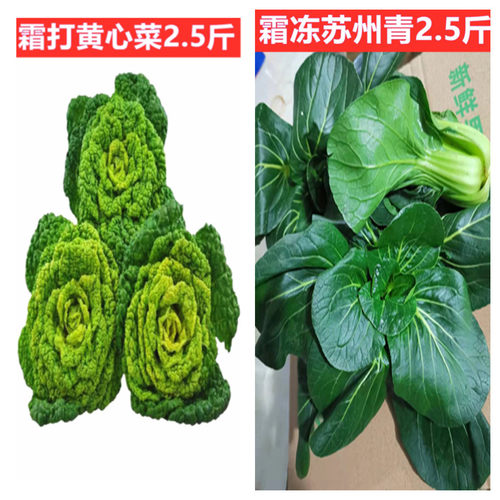 河南霜打黄心菜2斤霜冻苏州青2斤新鲜蔬菜组合菜农家菜包邮