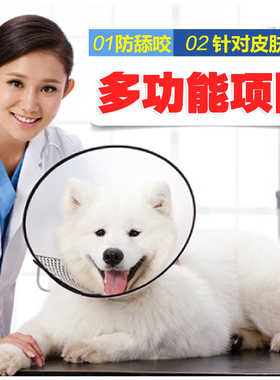 宠物圈头套头罩美容用品项圈狗狗脖套防抓舔咬圈猫用项圈