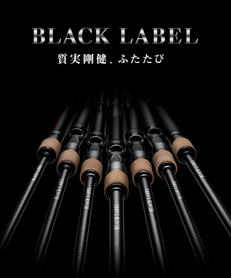 日本daiwa达瓦blacklabel黑标路亚竿 海钓远投泛用路亚枪直柄钓竿