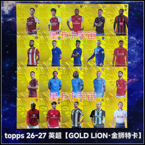 TOPPS英超金狮特卡哈兰德赖斯