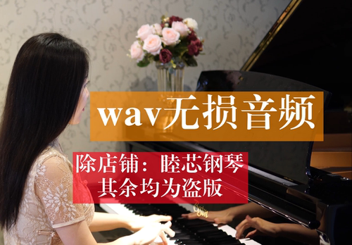 格式无损音频钢琴合集优美
