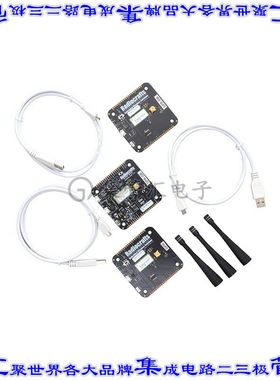 RC1880-RIIOT-DK 开发板评估板 DEVELOPMENT KIT FOR RIIOT MODUL