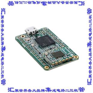 DEMOBGT60TR13CTOBO1 开发板评估板 EVAL BOARD FOR BGT60TR13C