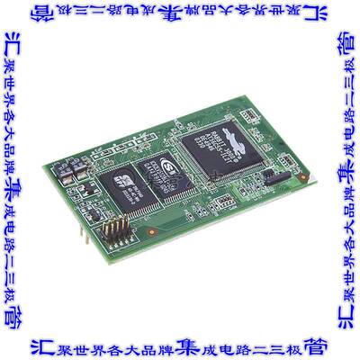 20-101-0673 集成电路芯片IC MOD RABBIT 3000 22.1MHZ 128KB