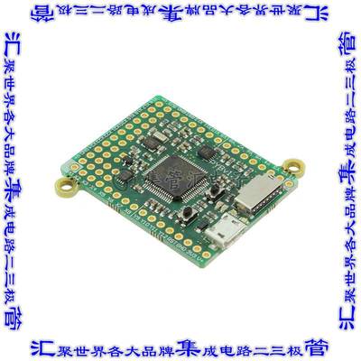2390 开发板评估板 PYBOARD V1.1 STM32F405 NO HEADER
