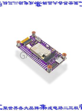 333166 开发板评估板 INKPLATE 2