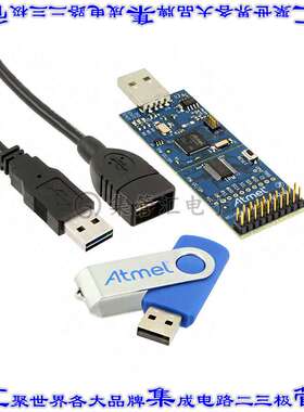 AT97SC3205T-SDK2 开发板评估板 DEMO KIT FOR 97SC3204