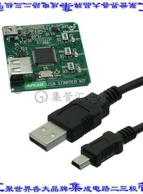 DM330012 开发板评估板 DSPIC33E USB STARTER KIT