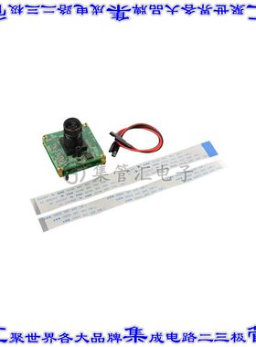 SEN0338 开发板评估板 NIGHT CAMERA MODULE RASPBERRY PI