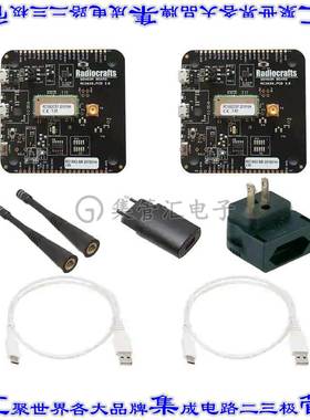 RC1890HP-RIIOT-DK 开发板评估板 HIGH POWER RIIOT DEVELOPMENT