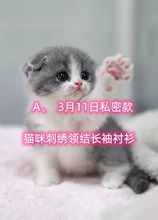 A、3/11私密款 少女系软萌甜美可爱猫咪刺绣爪印丝带领结长袖衬衫