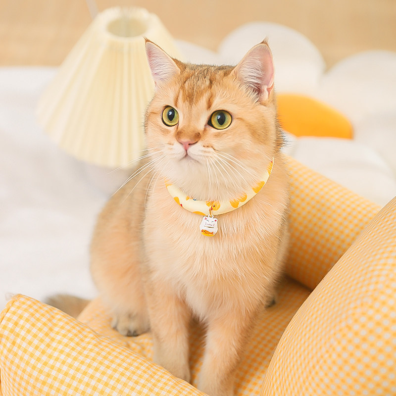 猫咪项圈猫围脖项链宠物狗狗脖圈装饰猫圈脖子饰品猫铃铛猫咪用品