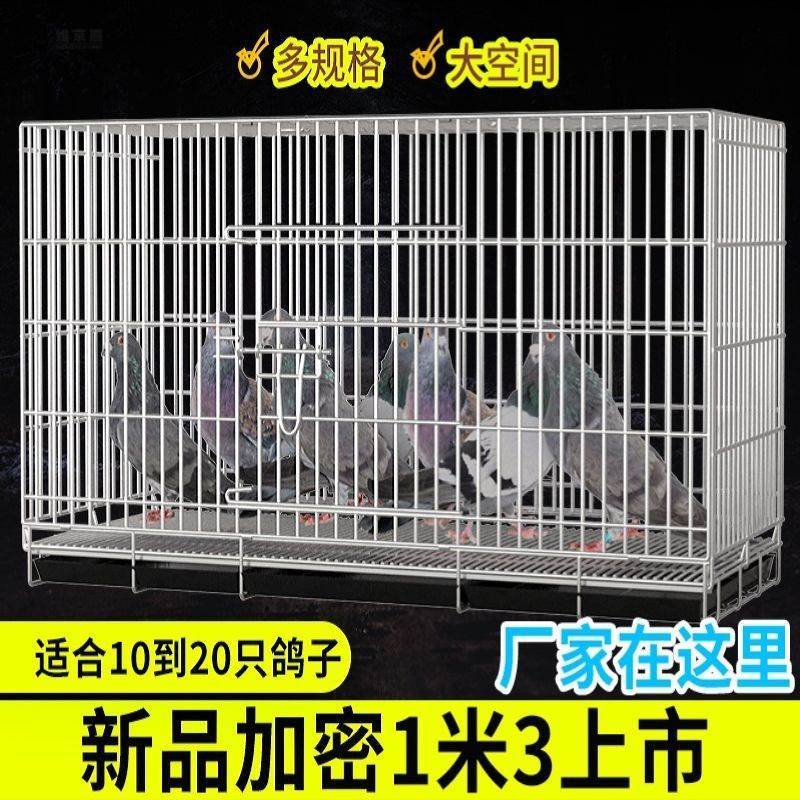 鸽子笼大空间繁殖笼鸟笼鸽子笼子不锈钢色大号加密配对家用养殖笼_虎窝淘