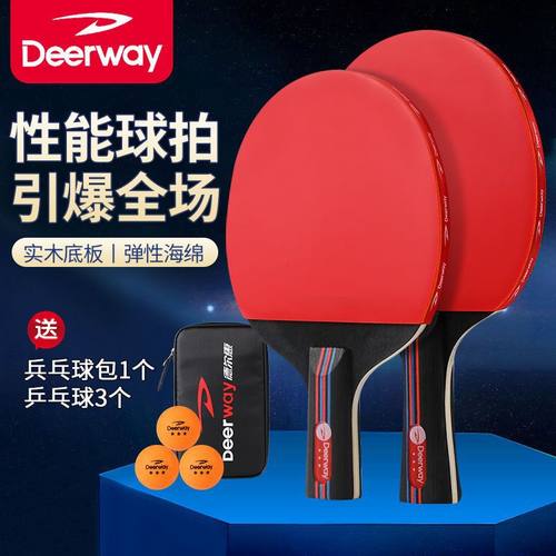 专业乒乓球拍德尔惠买送球包和球