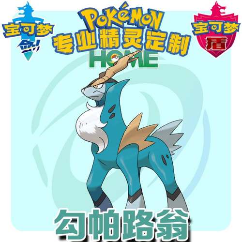 精灵宝可梦剑盾素材模板 精灵宝可梦剑盾图片下载 小麦优选