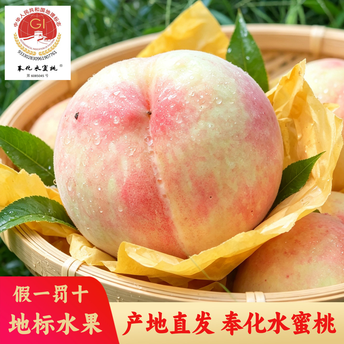 正宗奉化水蜜桃核心产区假一罚十
