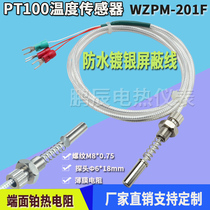 Thermocouple thermal resistance temperature measuring element PT100 end thermal resistance wzpm-201f waterproof tetrafluorocarbon wire platinum resistance