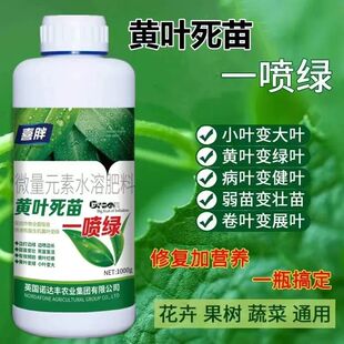 黄叶死苗一喷绿果蔬通用肥氨基酸叶面肥微量元素水溶肥料正品包邮