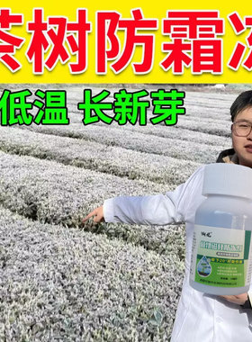 茶叶防冻剂茶树防冻抗寒抗低温促生长抗病增产叶面肥农作物防冻剂