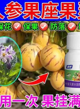 增产防落授粉人参果点花药