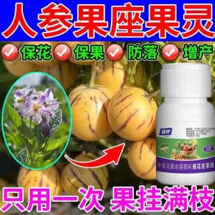 人参果点花坐果灵授粉点花剂强力专用点花药保花保果增产增收防落