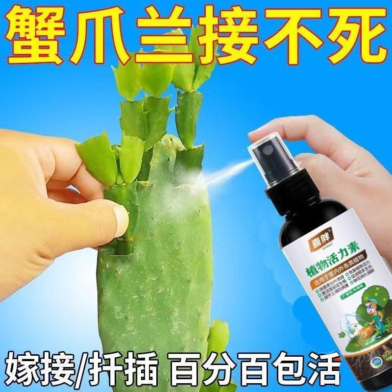 【一喷活】蟹爪兰嫁接促活液仙人掌嫁接蟹爪兰专用肥果树嫁接愈合,农用物资,树皮伤口愈合剂/涂膜剂,淘宝优惠券,粉丝福利购,淘宝优惠卷