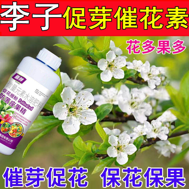 李子催花素】荔枝专用细胞分裂素打破休眠花芽分化促花素保花保果