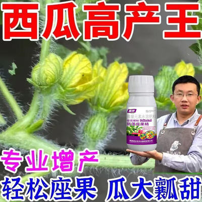 西瓜授粉专用药点花药免沾花授粉坐果精保花保果素防落防畸叶面肥