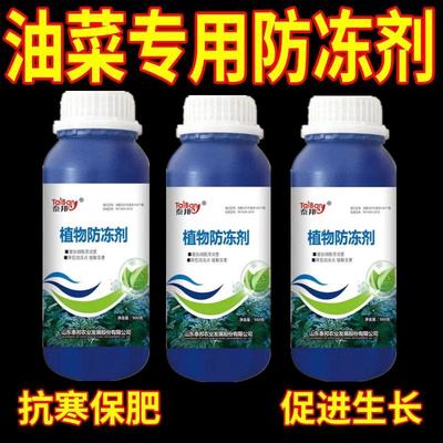 油菜防冻液油菜专用防冻剂植物防冻叶面肥防冻防冻液农用抗寒抗病