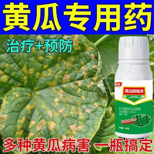 黄瓜病全治黄瓜专用药黄瓜杀菌剂叶面肥黄瓜霜霉褐斑叶枯特效药