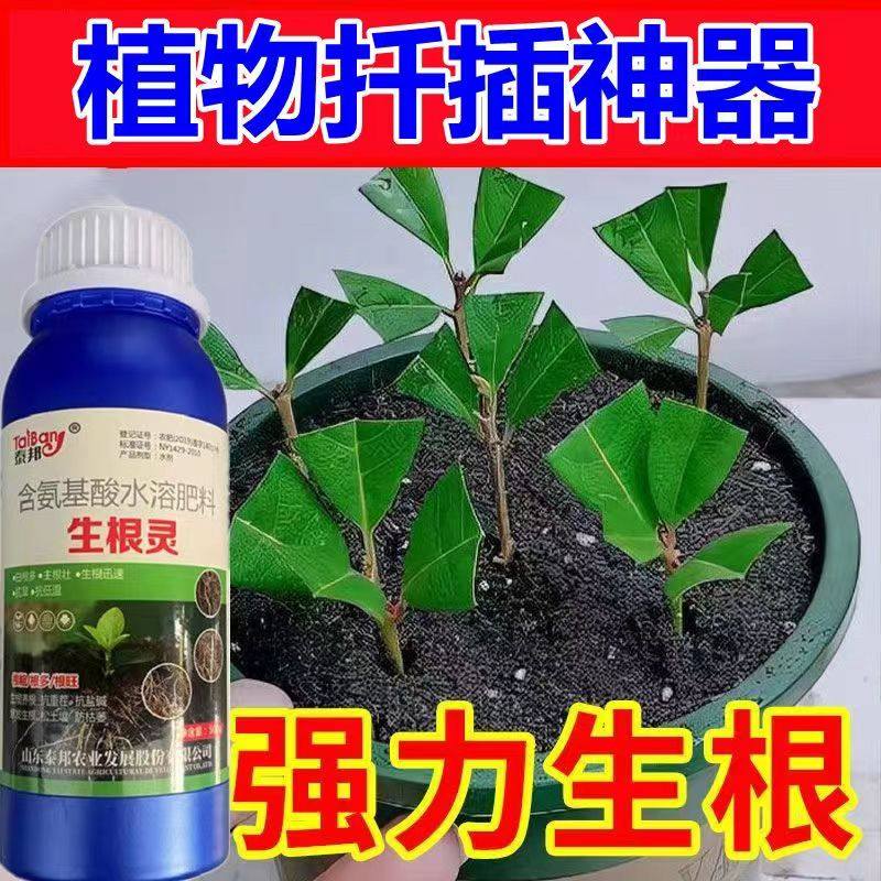 强力生根液【3天生根】植物扦插生根剂快速发根壮苗扦插移栽专用,鲜花速递/花卉仿真/绿植园艺,家庭园艺肥料,淘宝优惠券,粉丝福利购,淘宝优惠卷
