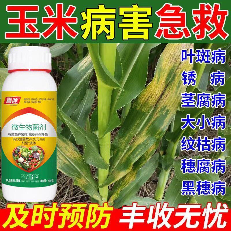 玉米专用药玉米病药玉米全治叶斑病锈病纹枯病玉米杀菌剂通用