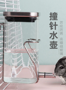 龙猫撞针水壶宠物鹦鹉仓鼠喝水壶花枝松鼠防咬玻璃喂水器静音水壶