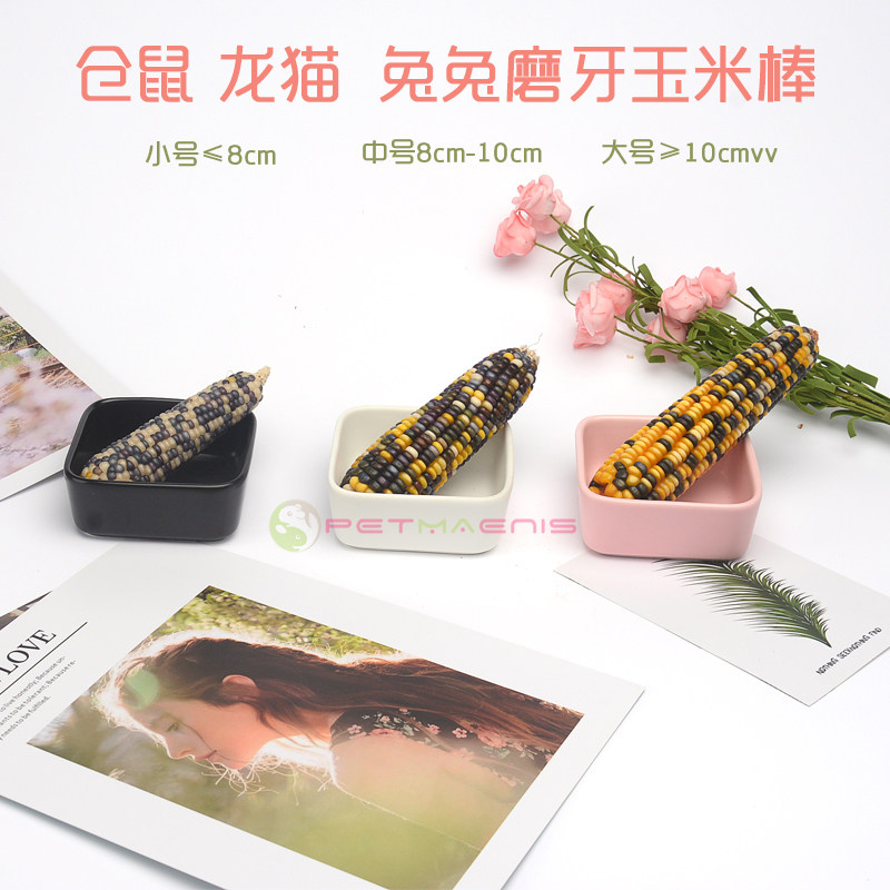 仓鼠磨牙棒零食小玉米棒粮食营养金丝熊兔子龙猫用品1根 多种尺寸