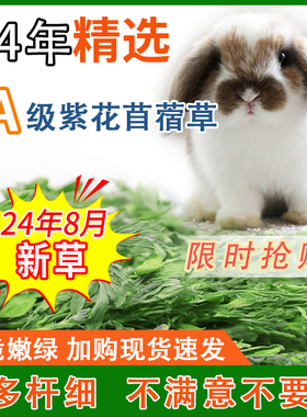25年新草 龙猫干草苜蓿草兔兔食物荷兰猪豚鼠兔粮兔子干草毛重1kg