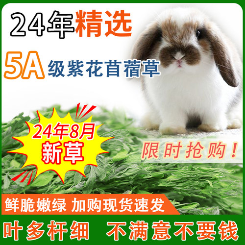 烘干苜蓿草兔子干草龙猫粮食草