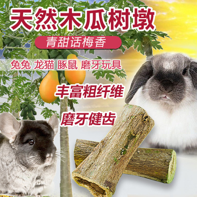 磨牙木瓜墩兔兔龙猫磨牙零食玩具