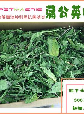 烘干蒲公英草兔子牧草龙猫豚鼠清热解暑兔子草药小宠蒲公英草500g