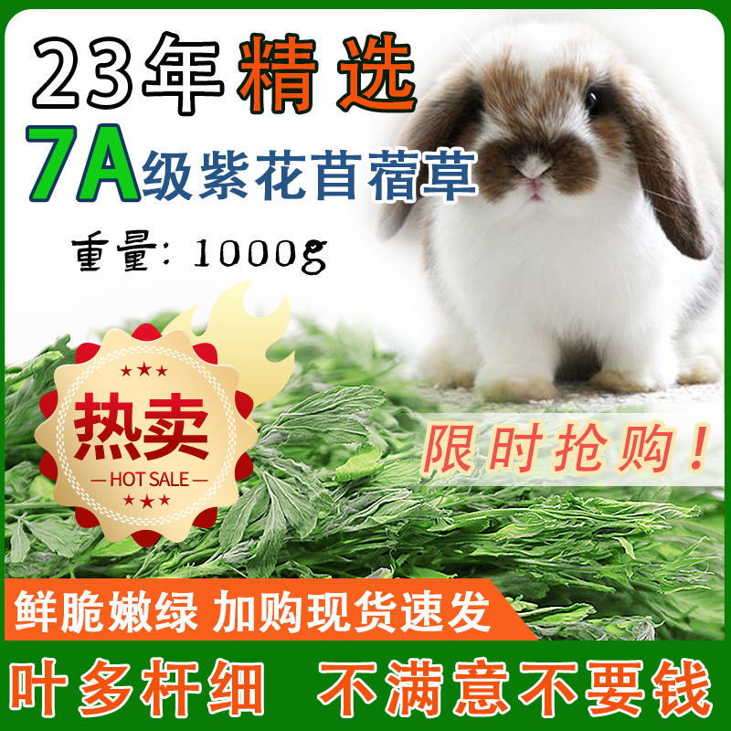 23年新草 龙猫干草苜蓿草兔兔食物荷兰猪豚鼠兔粮兔子干草毛重1kg 宠物/宠物食品及用品 兔兔干草 原图主图